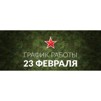 График работы магазина "Donparts" в День защитника отечества 2020